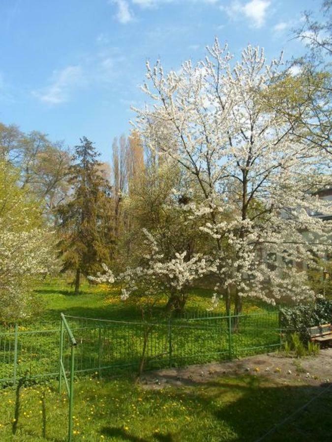 Apartament 100M Od Morza Sopot Bagian luar foto